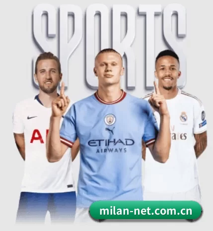 milan-net.com.cn的方向 - 长期内容价值积累